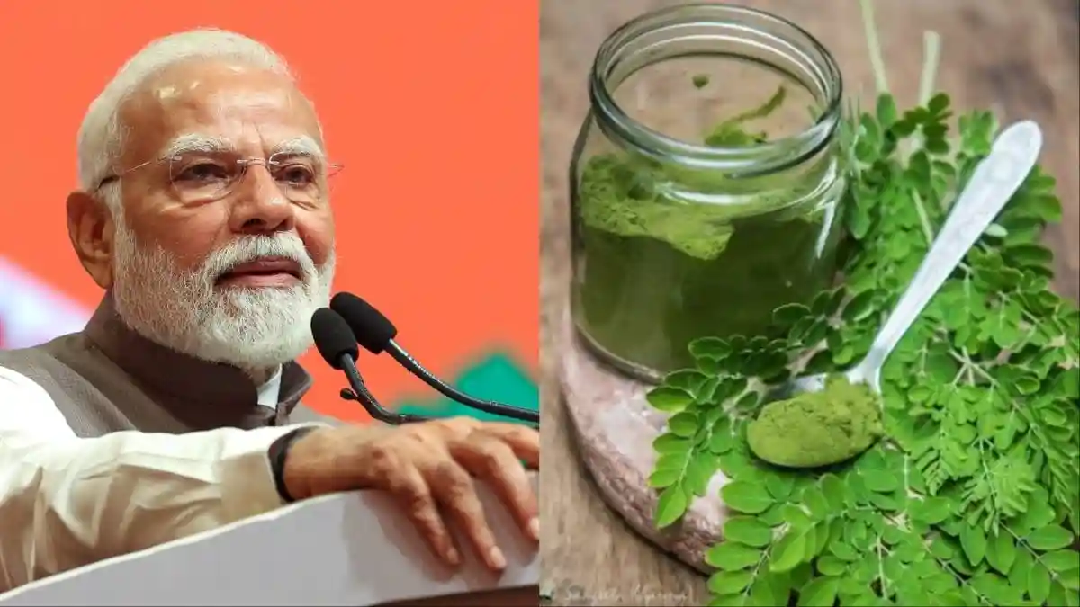 Moringa, commonly known as drumstick or sahjan, has long held a special place in Prime Minister Narendra Modi's diet. Known for its remarkable nutritional value, both the pods and leaves of this plant gained widespread recognition for their health-boosting properties during the COVID-19 pandemic. The Prime Minister himself has often spoken about its benefits, even sharing that he once prepared moringa parathas for their rich nutritional content.Moringa, commonly known as drumstick or sahjan, has long held a special place in Prime Minister Narendra Modi's diet. Known for its remarkable nutritional value, both the pods and leaves of this plant gained widespread recognition for their health-boosting properties during the COVID-19 pandemic. The Prime Minister himself has often spoken about its benefits, even sharing that he once prepared moringa parathas for their rich nutritional content.Dr Shubham Vatsya, a gastroenterologist and hepatologist at Fortis Hospital, Vasant Kunj, Delhi, with more than a decade of clinical experience, took to Instagram to explain why including moringa in one's everyday meals can be remarkably beneficial for health.