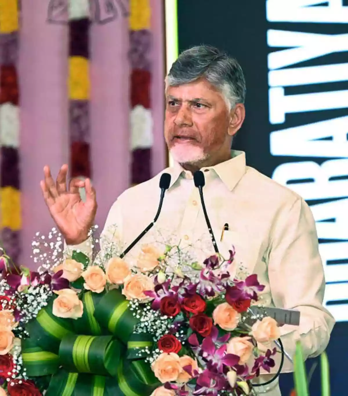 Naidu’s many visions