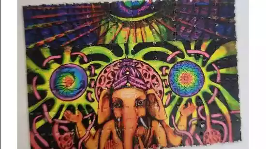 NCB busts darknet drug network