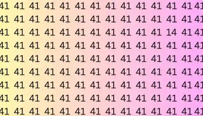 Optical Illusion Challenge