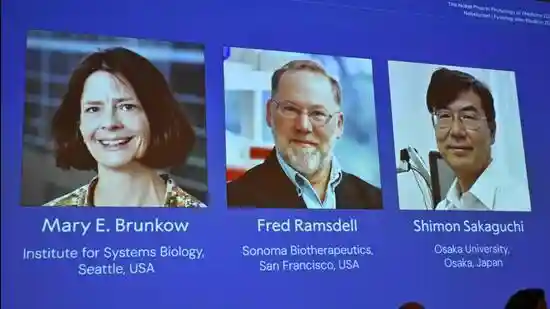 Our immune system is so powerful that it can sometimes attack parts of our body itself, leading to autoimmune disorders. Today, it is well known that the body has a regulatory mechanism, called peripheral immune tolerance, that prevents the immune system from going overboard, but it took a long journey spanning decades before scientists deciphered how that works.Our immune system is so powerful that it can sometimes attack parts of our body itself, leading to autoimmune disorders. Today, it is well known that the body has a regulatory mechanism, called peripheral immune tolerance, that prevents the immune system from going overboard, but it took a long journey spanning decades before scientists deciphered how that works.The Nobel Prize for Medicine, announced on Monday, honours three scientists who made pioneering discoveries along that journey. Shimon Shakaguchi, currently with Osaka University, discovered regulatory T cells, the watchdogs that help prevent the immune system from attacking the body. Independently, Mary E Brunkow (Institute for Systems Biology, Seattle) and Frederick J Ramsdell (Sonoma Biotherapeutics, San Francisco) identified a gene which, if mutated, could lead to autoimmune disease. Later, Shakaguchi completed the jigsaw by establishing that the same gene controls the development of regulatory T cells.