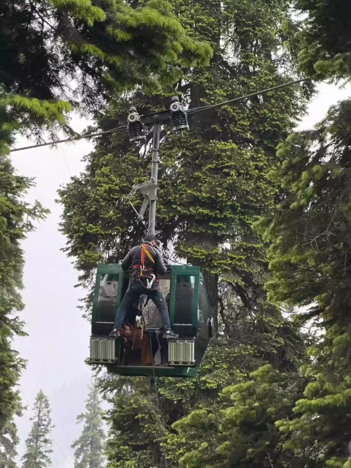 Over 300 tourists stranded in Gulmarg’s high-altitude cable cars rescued