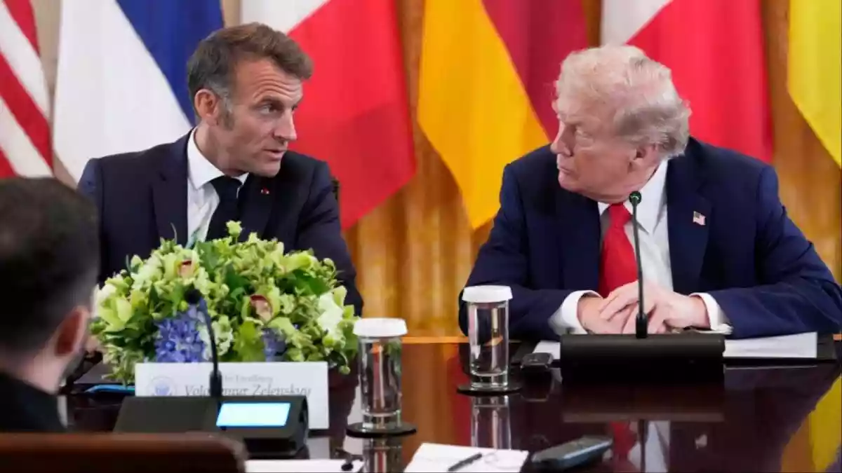 Please, Donald, I Beg You