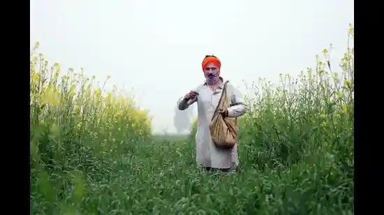 PM-Kisan beneficiaries see 51% dip in Punjab