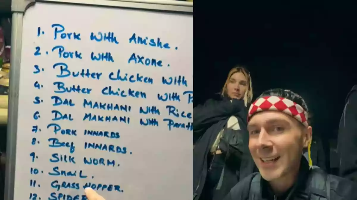 Porcupine Meant To Civet Cat