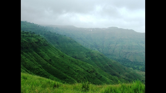 Rescue organisations such as the Guardian Giripremi Institute of Mountaineering and the Maharashtra Mountaineers Rescue Coordination Centre (under AMGM) are frequently called into action, often putting their own lives at risk to assist stranded or injured trekkers