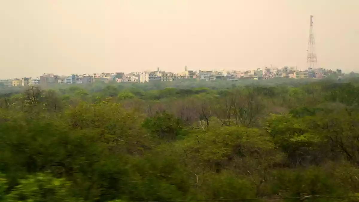 Road to hell is paved with good intentions