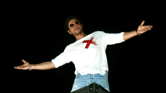 Shah Rukh Khan is known for his romantic films, where he did the arms-stretched wide pose. Here's what Vidya Balan said about him. Actor Vidya Balan has not worked with Shah Rukh Khan in a full-length film, but has shared screen space with him in Heyy Babbyy and in the song Deewangi Deewangi from Om Shanti Om. The actor referred to Shah Rukh's iconic pose and how he is loved by an entire nation for his romantic films during an interview recently, with Bollywood Hungama. (Also read: Shah Rukh Khan visits Sitaare Zameen Par set, says Aamir Khan called him at least 10 times to meet the cast)
