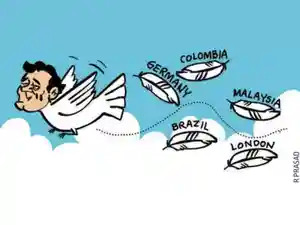 Spy seagulls and political falcons