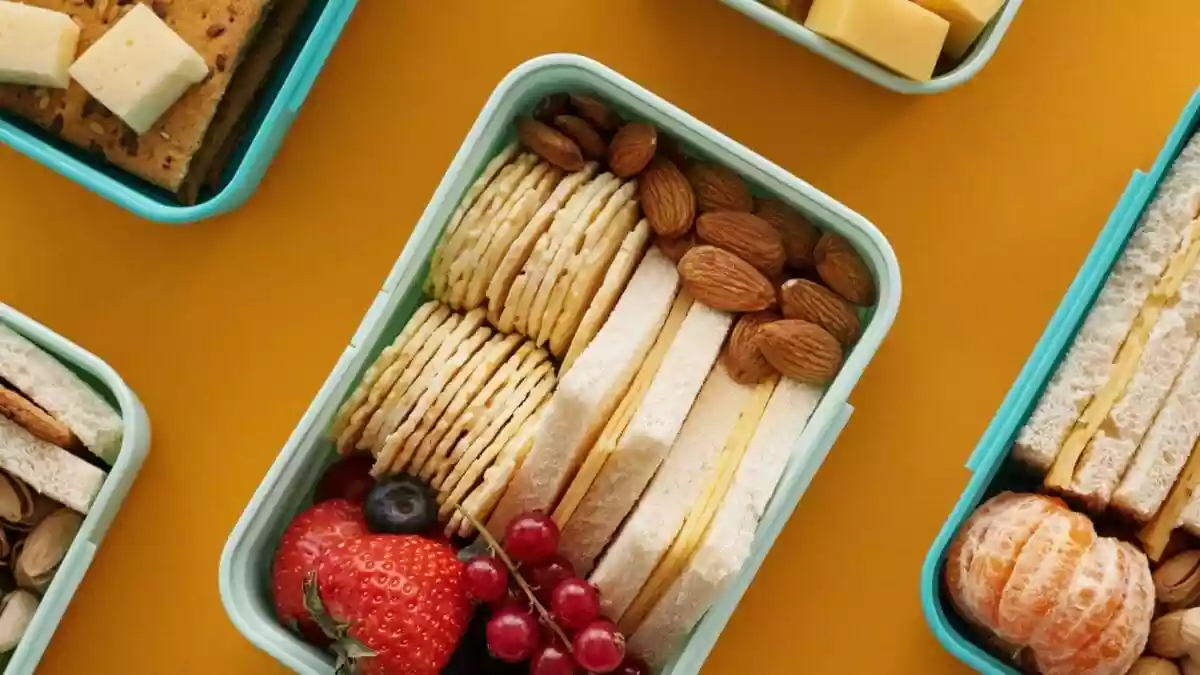 Stainless Steel Vs Plastic Lunch Box