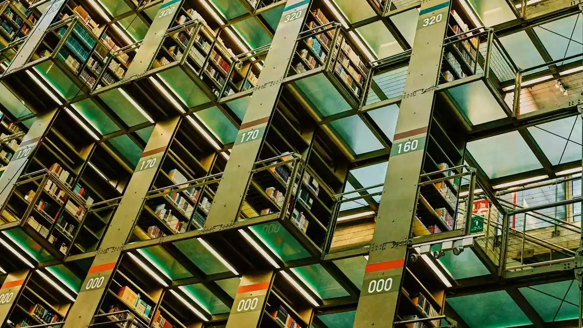 Stanford/Elsevier rank list