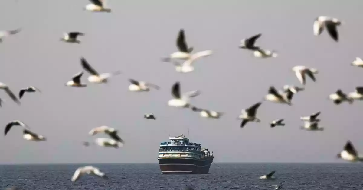 Strait of Hormuz disruption