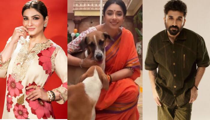 Supreme Court's revised order regarding stray dogs in the Delhi/ NCR region, according to which the stray dogs will be sterilised, vaccinated, deformed, and then released back into the areas from where they were picked up. Mumbai: Several members from the entertainment industry have welcomed the Supreme Court's revised order regarding stray dogs in the Delhi/ NCR region, according to which the stray dogs will be sterilised, vaccinated, deformed, and then released back into the areas from where they were picked up.