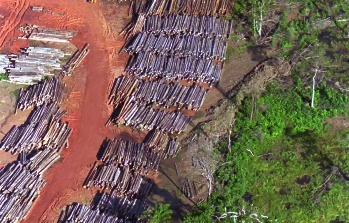 Suriname's government has pledged to permanently protect 90% of its tropical forests, a move conservationists say is among the most ambitious commitments to climate and biodiversity ever made by an Amazonian nation. The announcement came during Climate Week in New York City. Foreign Minister Melvin W.J. Bouva delivered the pledge on behalf of President Jennifer Geerlings-Simons, who took office two months ago.