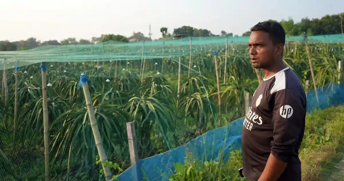 Switch from paddy to fruit crops leaves poor farmers and workers struggling