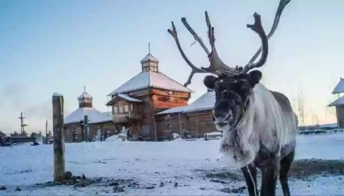 The -60 Degree Celsius Reality