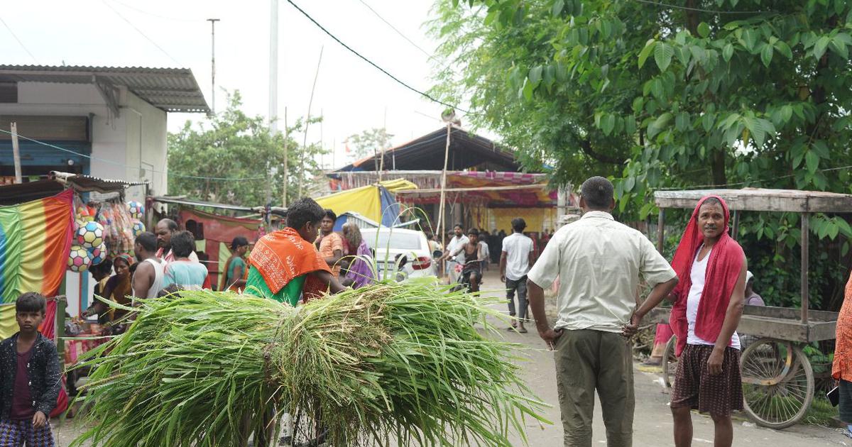 The air was festive in Pranpatti village in Bihar's Purnia district in the middle of August. A pandal and a fair had been set up to mark Bishari Puja, an annual festival dedicated to the snake goddess Bishari, who brings good health and well-being to her worshippers.