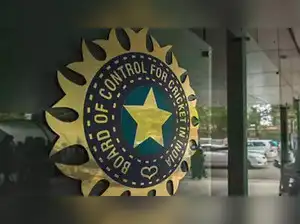The Board of Control for Cricket in India seeks new selectors. Applications are open for the senior men's and women's teams. Vacancies also exist in the junior men's selection committee. Ajit Agarkar currently heads the men's panel. Neetu David chairs the women's team. The deadline for applications is September 10. The board will soon decide which selectors will be replaced.