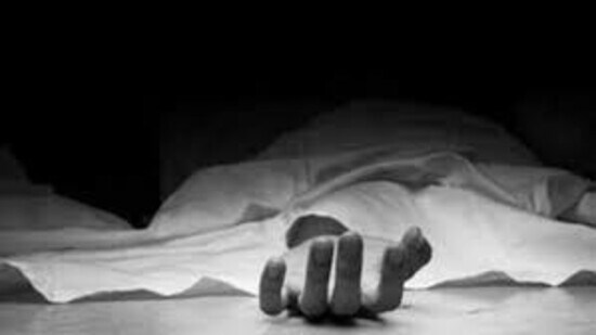 The deceased have been identified as Prem Chand, 40, and Dinesh, 36, both of Gaderi village in Sunni tehsil Two persons have been killed after a pickup truck skidded into a gorge near Jalog village in Sunni tehsil of Shimla district late on Sunday night, the police said on Monday.