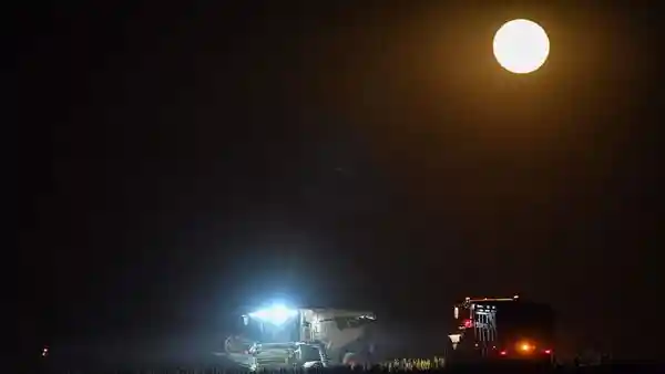 The Harvest Moon occurs nearest to the September equinox. This year, it will rise on October 6 and reach full phase at 03:48 GMT on October 7. This places it 14 hours and 39 minutes closer to the equinox than September's full moon. As a result, the Harvest Moon arrives later than usual in 2025, a rare occurrence that happens only 18 times between 1970 and 2050. This full moon coincides with the moon's perigee, its closest point to Earth in its orbit, making it a supermoon this year.