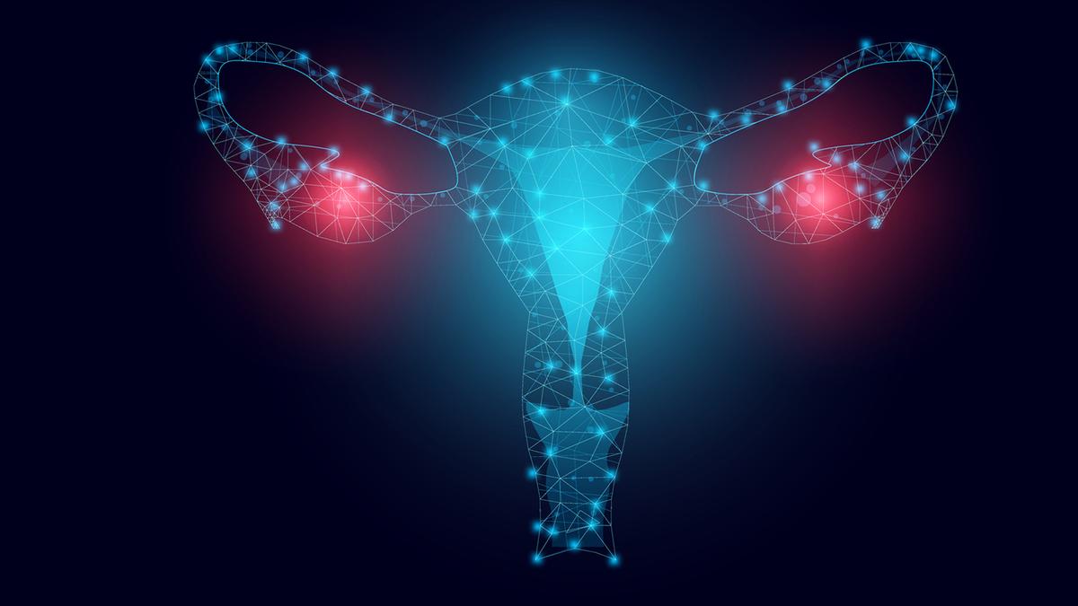 The National Centre for Biological Sciences (NCBS), in a collaborative study, have found that two simple environmental factors — calcium and pH — dictate whether the cancer spheroids hold together, fall apart, or even rebuild themselves from scratch. When ovarian cancer spreads, it often does so via floating clusters of cells – called spheroids – that drift through the abdominal cavity.