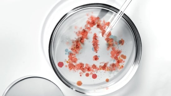 The source of the trouble is “paper mills,” businesses or individuals that charge fees to publish fake studies in legitimate journals under the names of desperate scientists whose careers depend on their publishing record. The rate of fake papers generated by these operators roughly doubled every 1.5 years between 2016 and 2020, according to href=