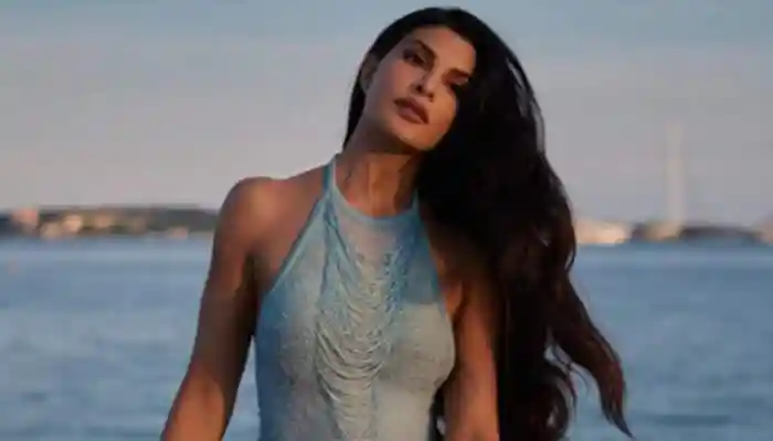 The Supreme Court has dismissed Jacqueline Fernandez's plea to quash the ED's FIR in the Rs 200 crore money laundering case linked to conman Sukesh Chandrasekhar. New Delhi: The Supreme Court on Monday refused to provide any relief to actress Jacqueline Fernandez as it dismissed her petition filed in connection with the Rs 200 crore fraud case linked to conman Sukesh Chandrasekhar.