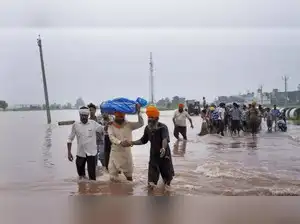 The swollen river, fed by heavy rains, cloudbursts, and fresh releases from Bhakra and Pong dams, breached the RG embankment near Manu Machhi village in Zira's Makhu sub-division, flooding Chak Manu Machhi, Jamaliwala, Gatta Dallar, and Tibi. Though timely evacuation saved lives, hundreds of acres of standing crops were washed away.