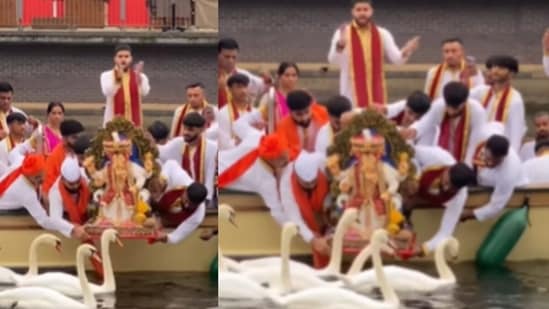 The ten-day Ganeshotsav is drawing to a close with the grand Ganesh Visarjan rituals being performed across the country. Amidst the celebrations, one video from the United Kingdom has captured widespread attention online. The clip shows a group of Indian devotees carrying out the traditional immersion ceremony on a river, with swans gliding past the boat.