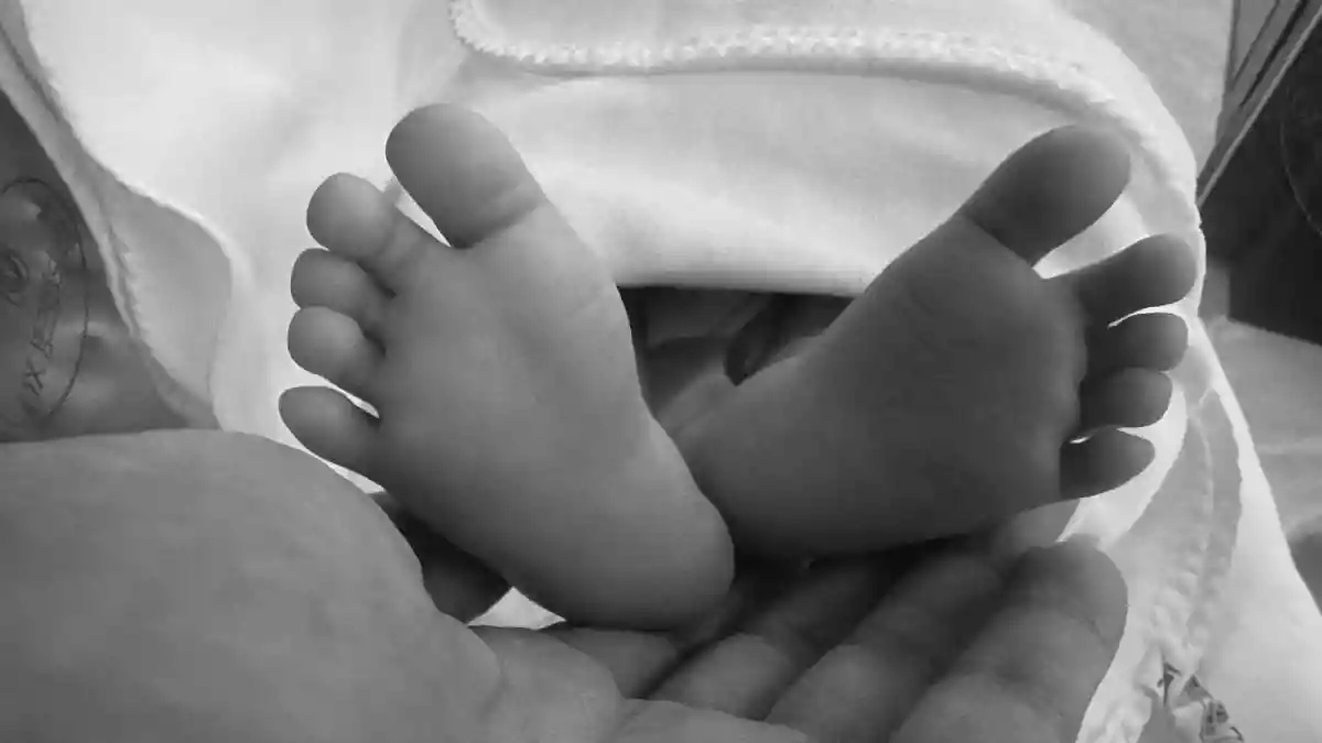 Tips To Keep Toddlers Safe And Healthy When Air Quality Drops