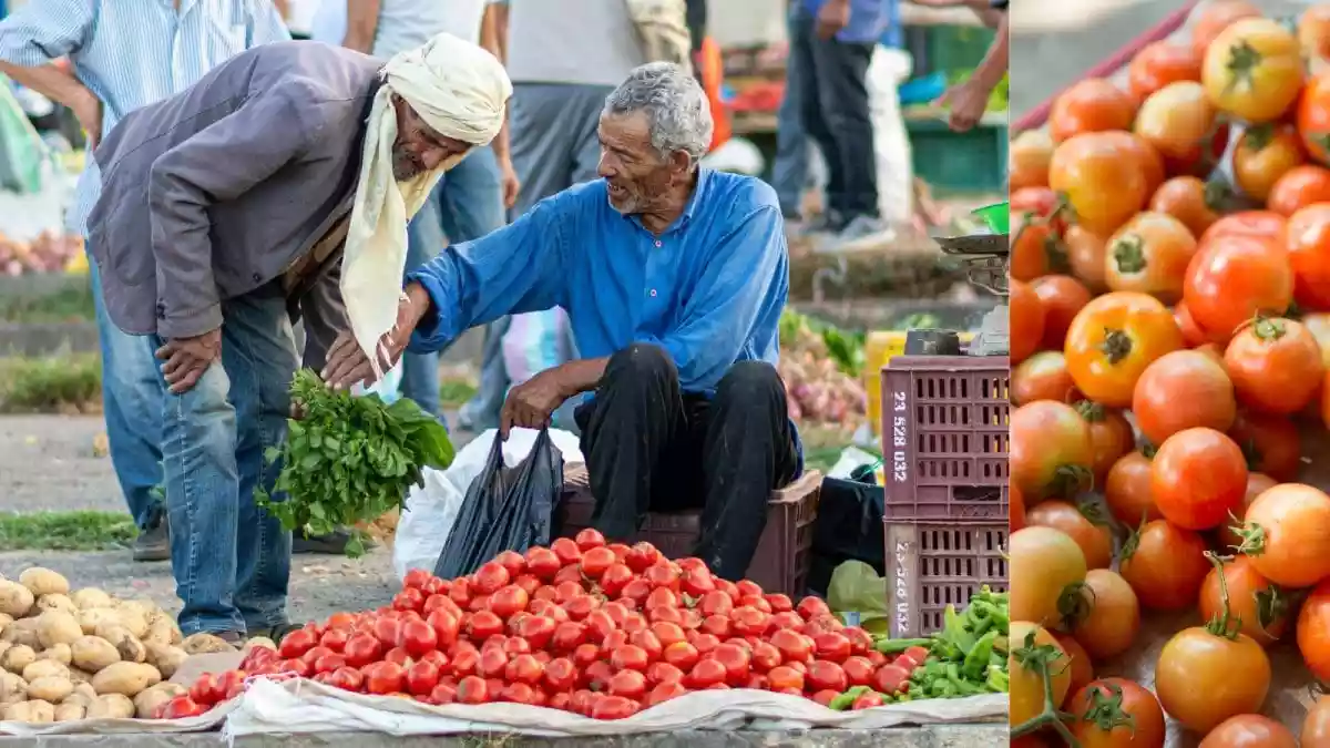 Tomato Rates Climb To Rs 100 Per Kg In Bengaluru
