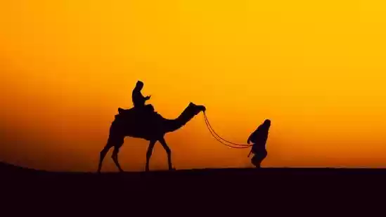 Top adventure holidays in India