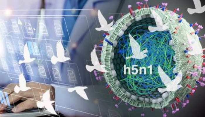 US researchers have developed a new and highly effective generative artificial intelligence (AI) tool to rapidly detect exposure to the H5N1 virus -- behind avian influenza or “bird flu”, and bolster national surveillance as the virus continues to spread in other animals.