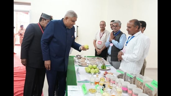 Vice-President Jagdeep Dhankhar, while interacting with the students at the Dr YS Parmar University of Horticulture and Forestry, Solan, on Saturday stressed on use of Artificial Intelligence in agriculture. Vice-President Jagdeep Dhankhar, while interacting with the students at the Dr YS Parmar University of Horticulture and Forestry, Solan, on Saturday stressed on use of Artificial Intelligence in agriculture.