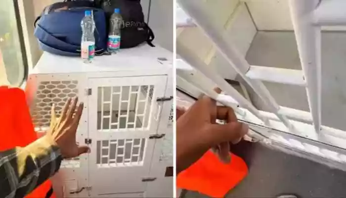 Viral video of Vande Bharat sleeper's pet facility sparks intense debate