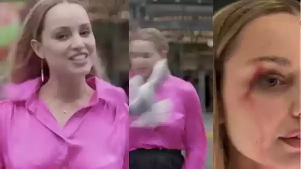 WATCH | Seagull attacks journalist mid-job