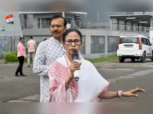 West Bengal Chief Minister Mamata Banerjee asserted that the central government is improperly claiming credit for the reduction of GST rates. She stated that the initiative to lower GST was originally proposed by the state government during a GST Council meeting. Banerjee highlighted the state's revenue loss of Rs 20,000 crore due to the GST reduction.