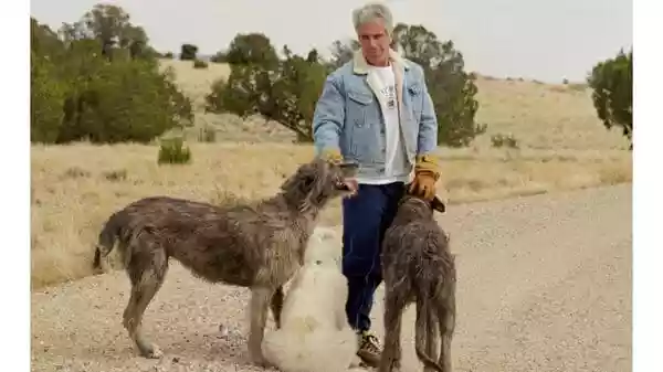 What is viral File 468 missing from thousands of documents