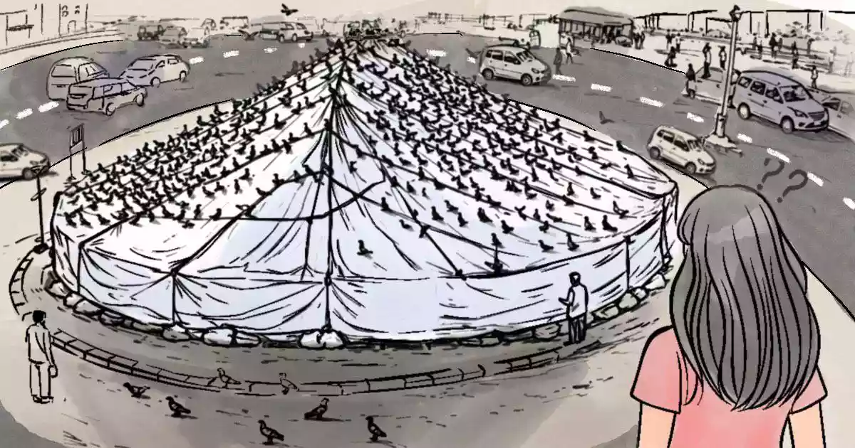 When protests erupted over a ban on feeding pigeons