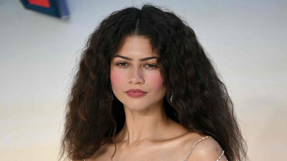 Who is Zendaya's lookalike