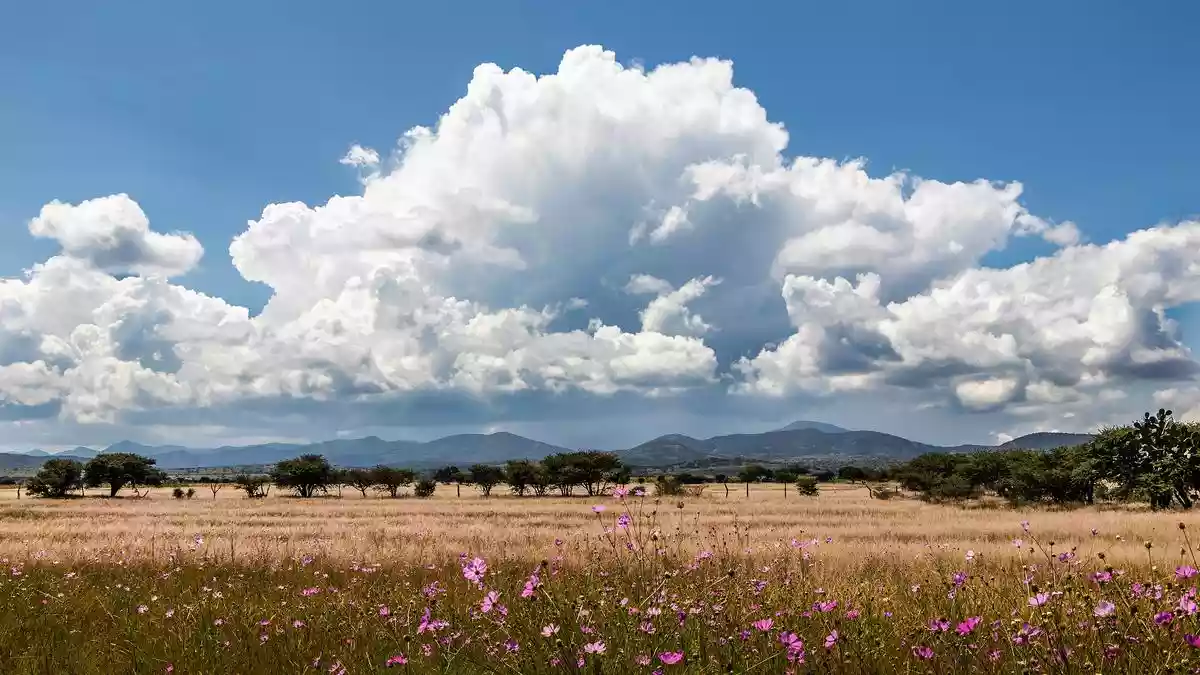 Why do clouds have different shapes