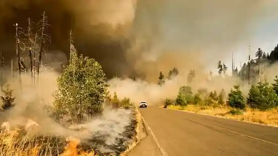 Wildfire erupts in Wyoming's Albany County- Check map