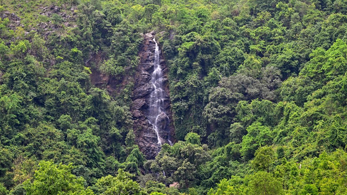 With the monsoon rolling in, the Eastern Ghats of Andhra Pradesh has transformed into a realm of mist-laced hills, dreamy skies and gushing waterfalls. The early arrival of rains is drawing visitors to the popular waterfalls of the region that offer more than just a visual retreat; they narrate stories of the land, its people and their deep connection with Nature.