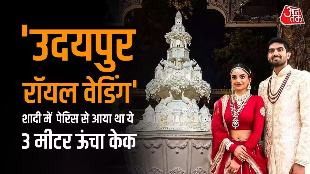 अरबपति की बेटी की शादी में आया