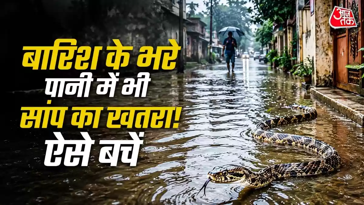 बारिश के भरे पानी में भी हो सकते हैं सांप