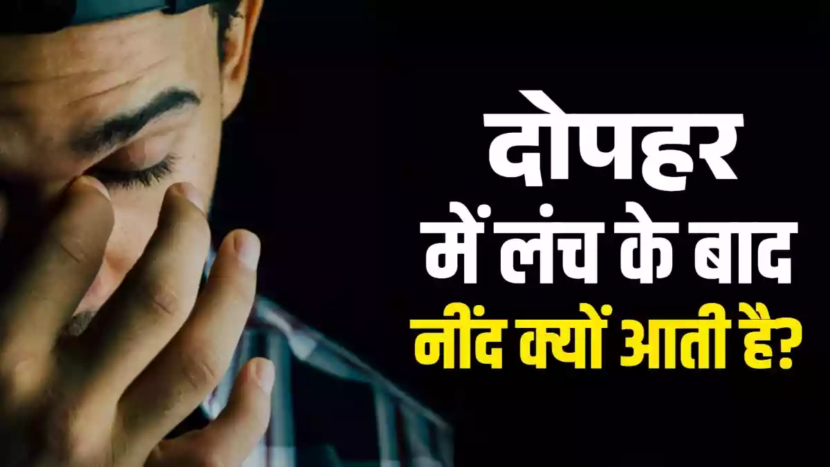 दोपहर में खाना-खाने के बाद नींद क्यों आती है