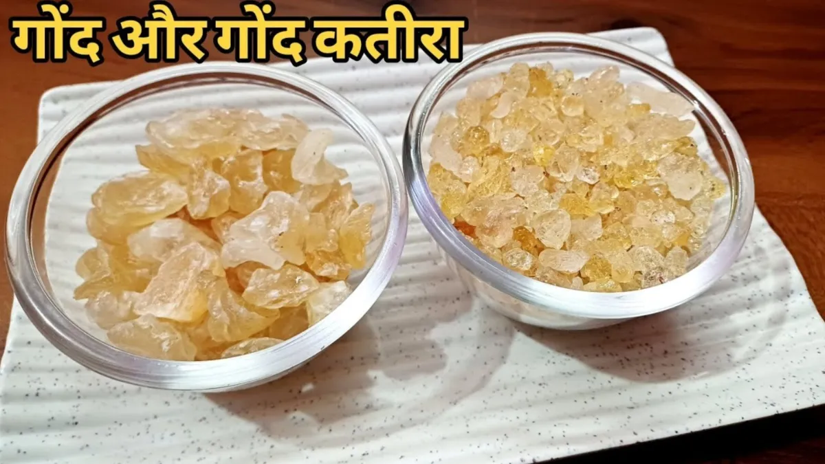 गोंद कतीरा और गोंद में क्या है अंतर