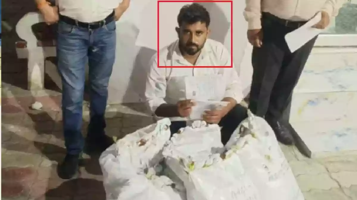 लखनऊ में ऑक्सीटोसिन इंजेक्शन की तस्करी का भंडाफोड़