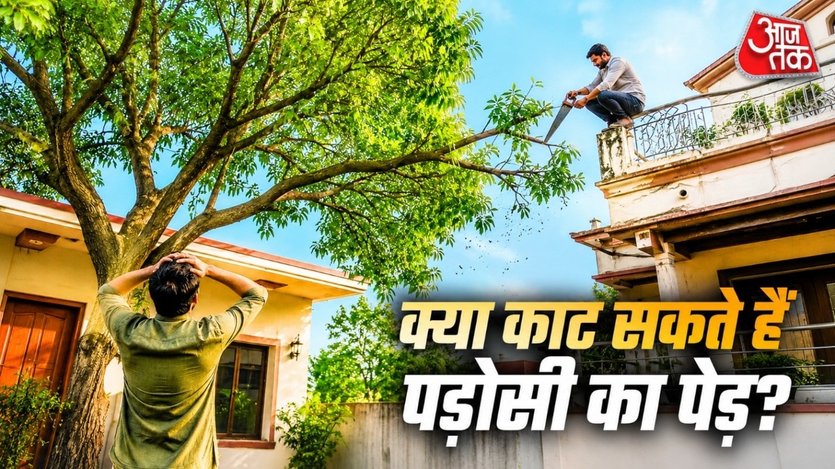 मेरे आंगन में क्यों गिरते हैं फल-पत्ते