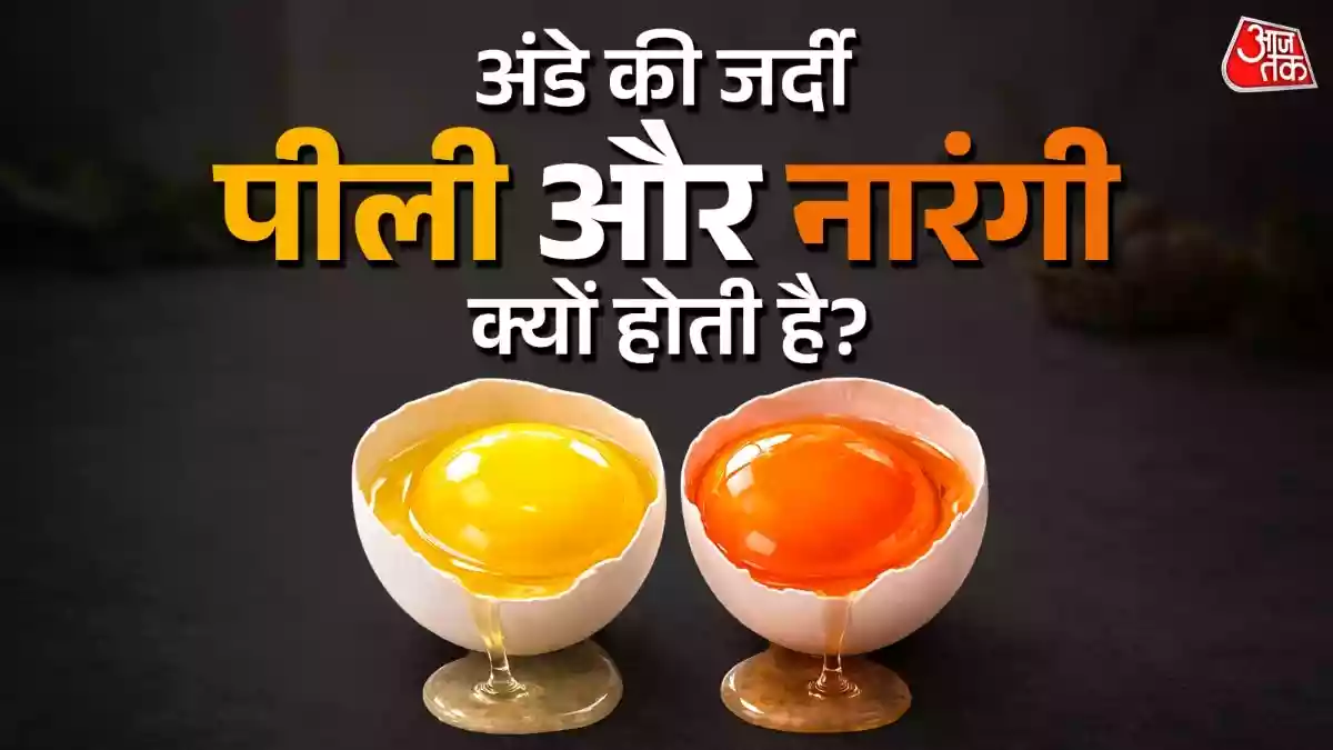 नारंगी और हल्का पीला